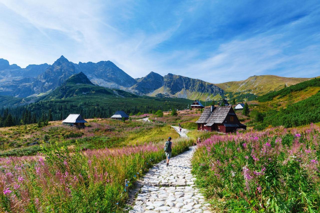 Zakopane - Apartament Chomikowka Kültér fotó